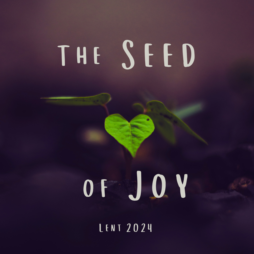 The Seed of Joy (2024)